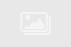 Gildan GN200 - Ultra bawełniany podkoszulek